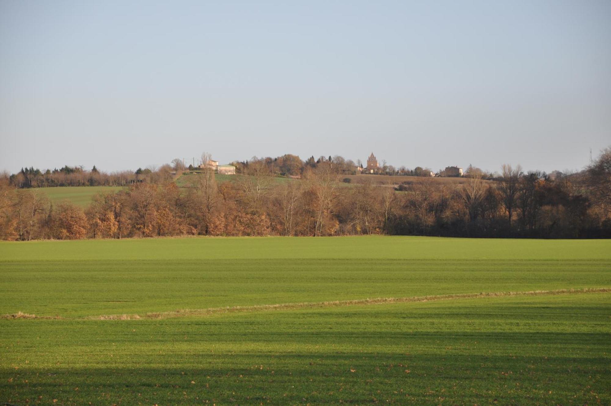 Domaine De Hurlevent Montgaillard-Lauragais Exterior photo